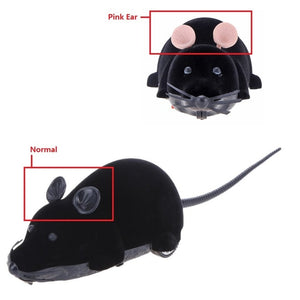 rc mouse cat toy