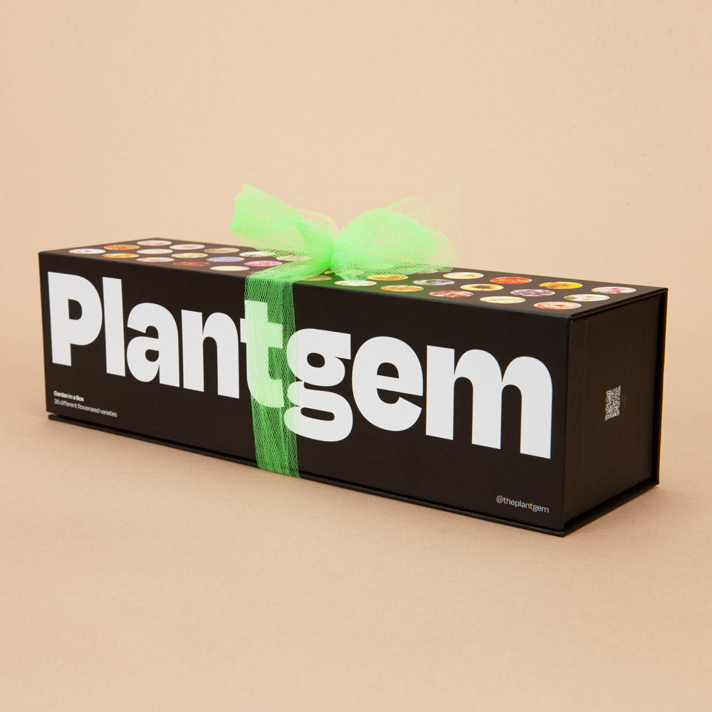 Garden In A Box - Plantgem product image