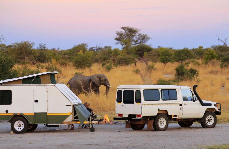 Toyota pulling campervan, elephant in the distance