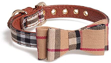 cute dog collars