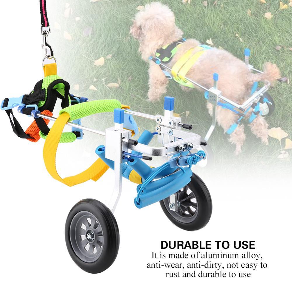 disabled dog products