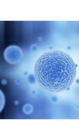 Close-up image of a single blue exosome cell among a cluster of cells, symbolizing advanced skin rejuvenation technology used in the best exosome serums