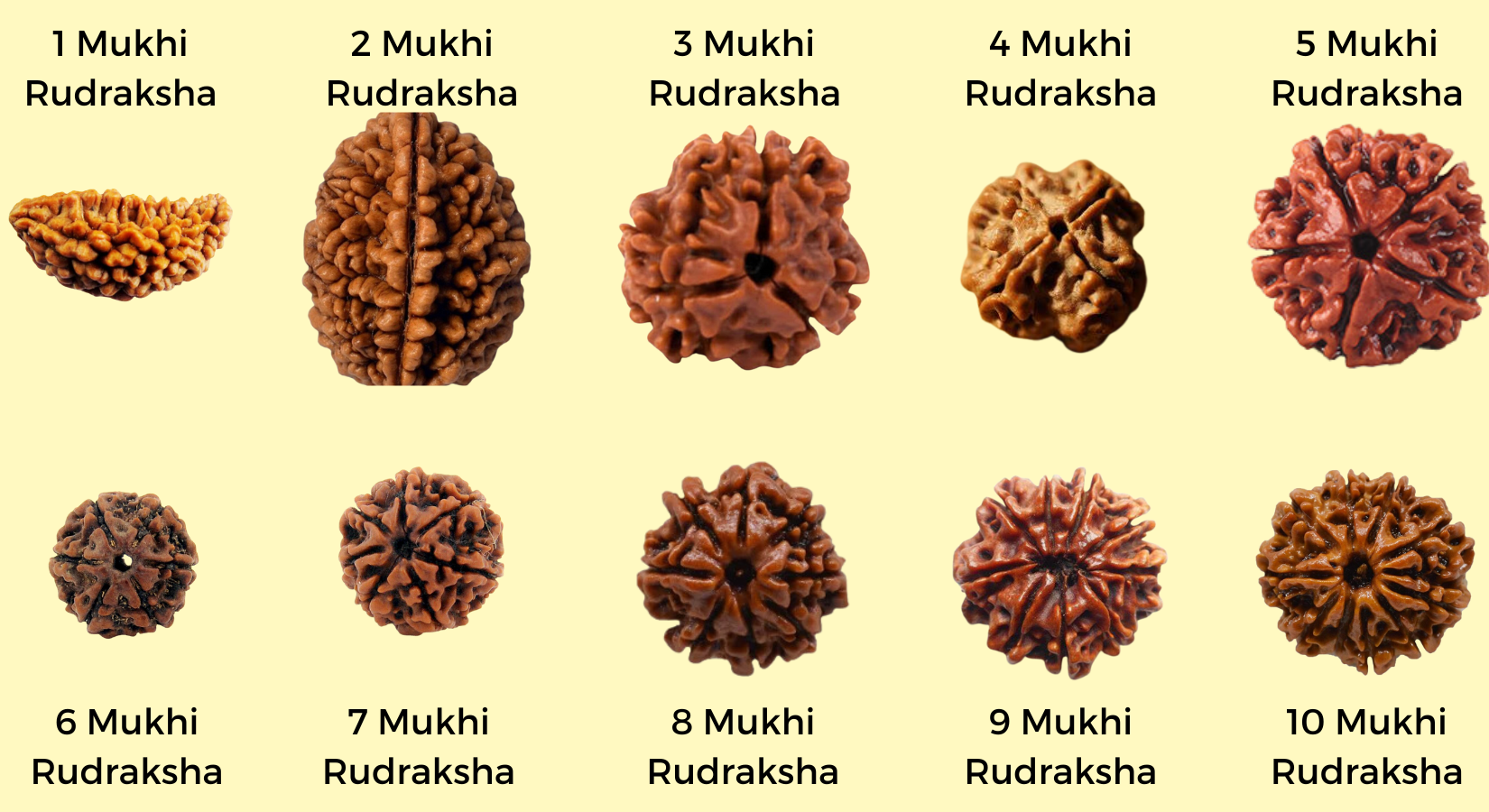 Cultural & Spiritual significance of Rudraksha Beads