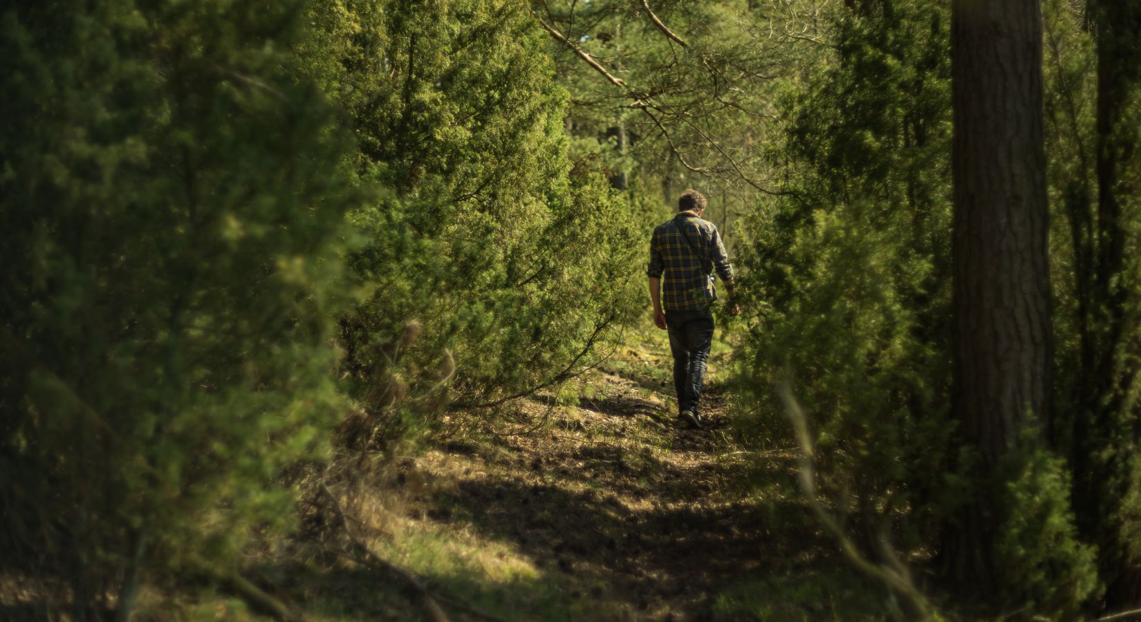 Walking Meditation