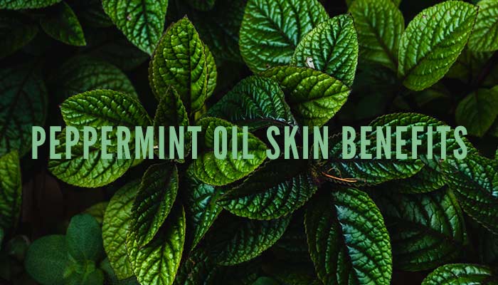 Skin Benefits Of Peppermint Oil For Acne Backed By Science Banish