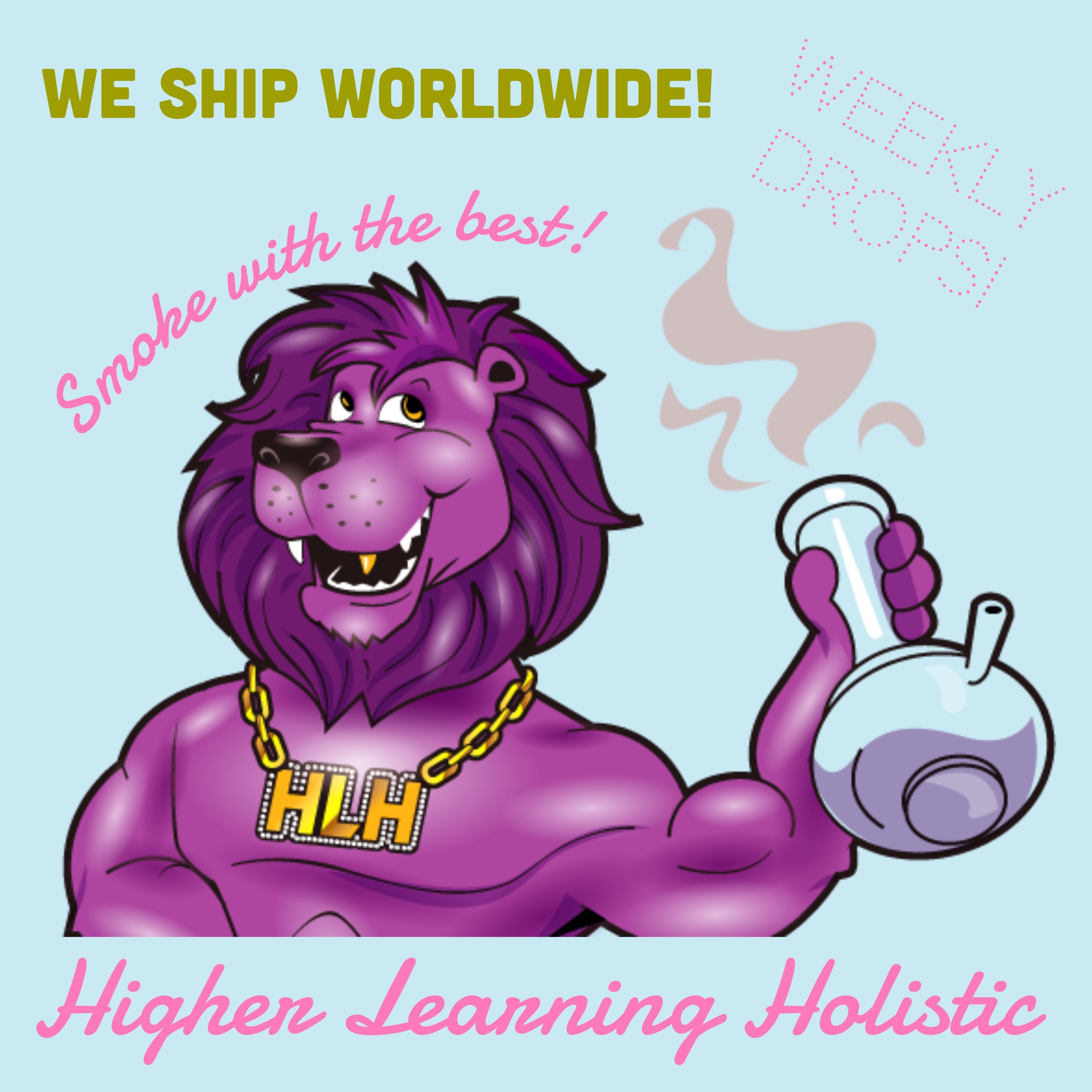 higherlearningholistic.com