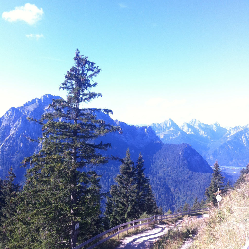 View of mountains on the walk down from Tegelberg mountain in Bavaria.