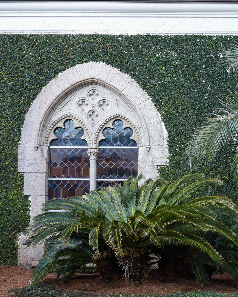 Windows near plant