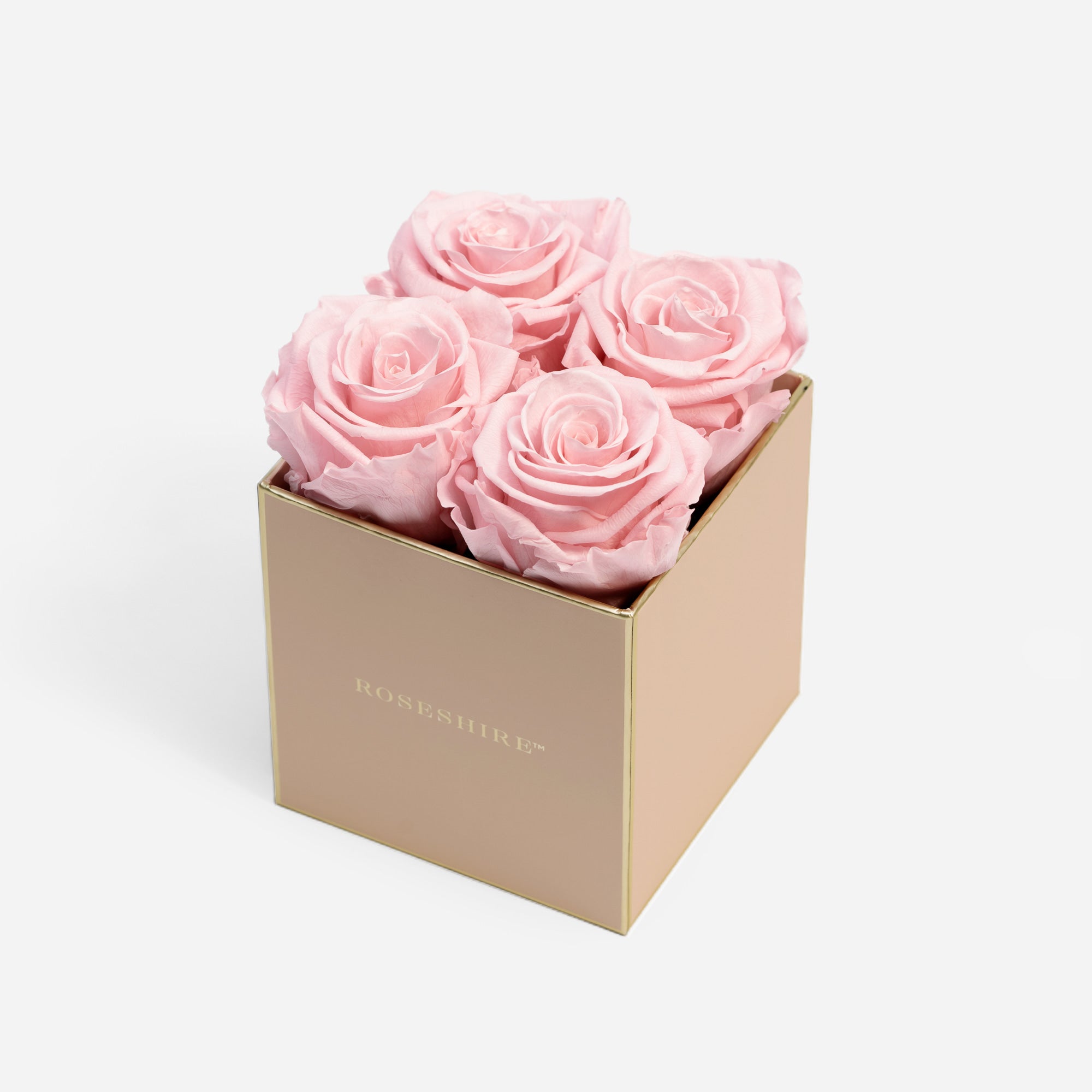 Iconic 4 Rose - Luxury Roses in a Box – RoseShire