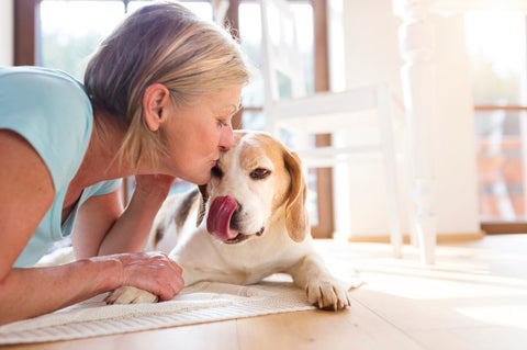 10 Best Calming Aid For Dogs