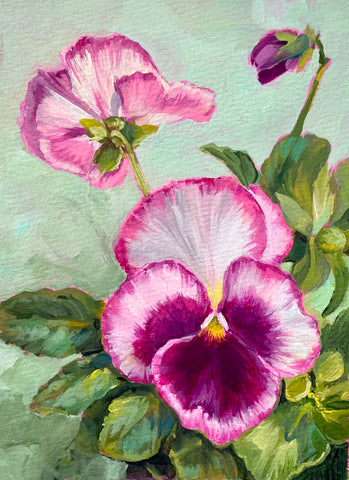 Pansies