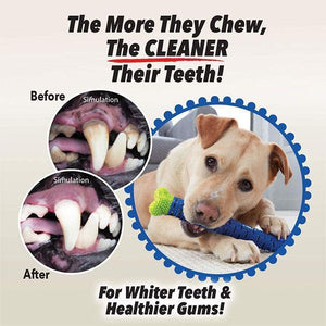 dog toothbrush chew toy