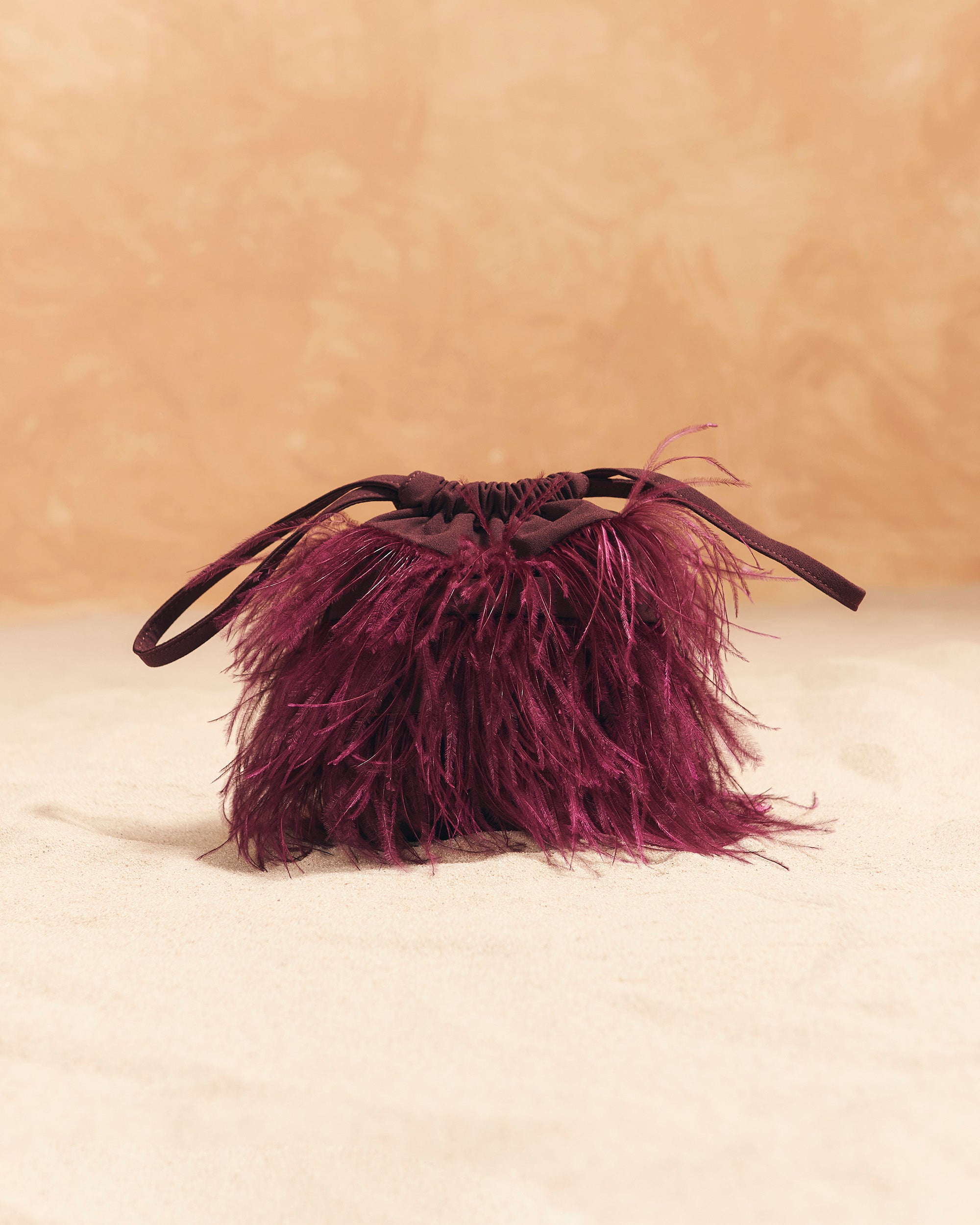 Bruna Feathers Aubergine Bag