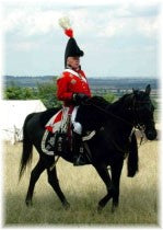 Colonel of Mounted Infantry