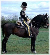 Member of the 12th Light Dragoons. 1808 Uniform.