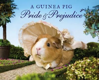 a-guinea-pig-pride-prejudice