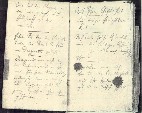 A page from one of Beethoven's conversation books.