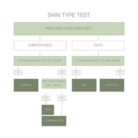 Skin type test dry oil sensitive skin care routine infographic