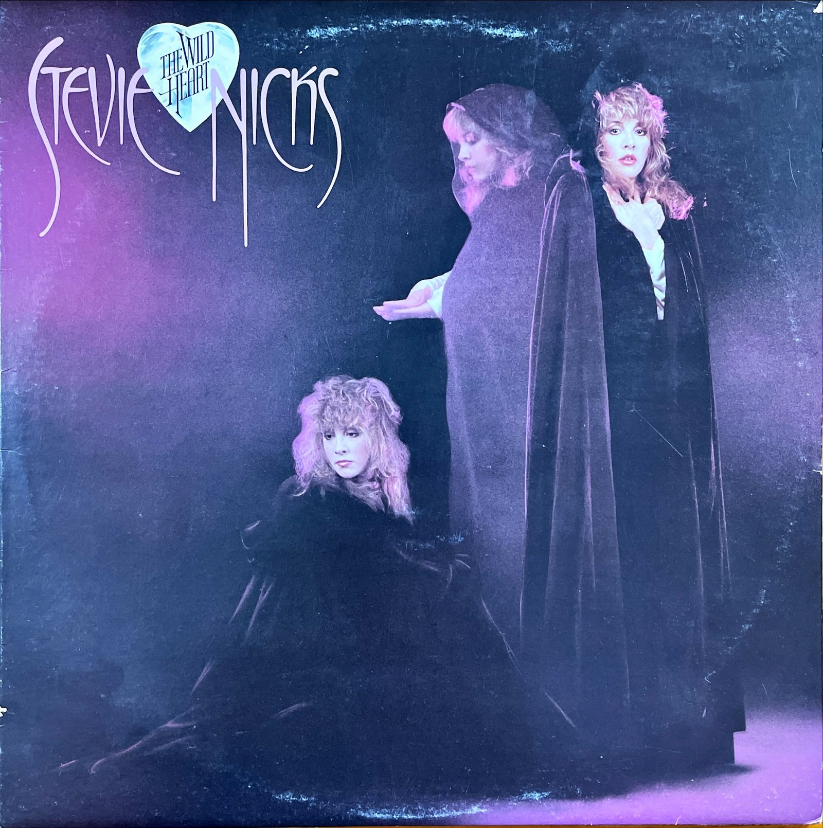 lyrics to wild heart stevie nicks