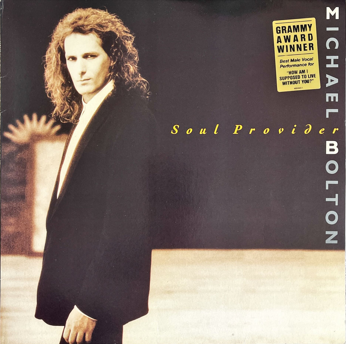 Michael Bolton - Soul Provider (Vinyl LP) — Record Exchange