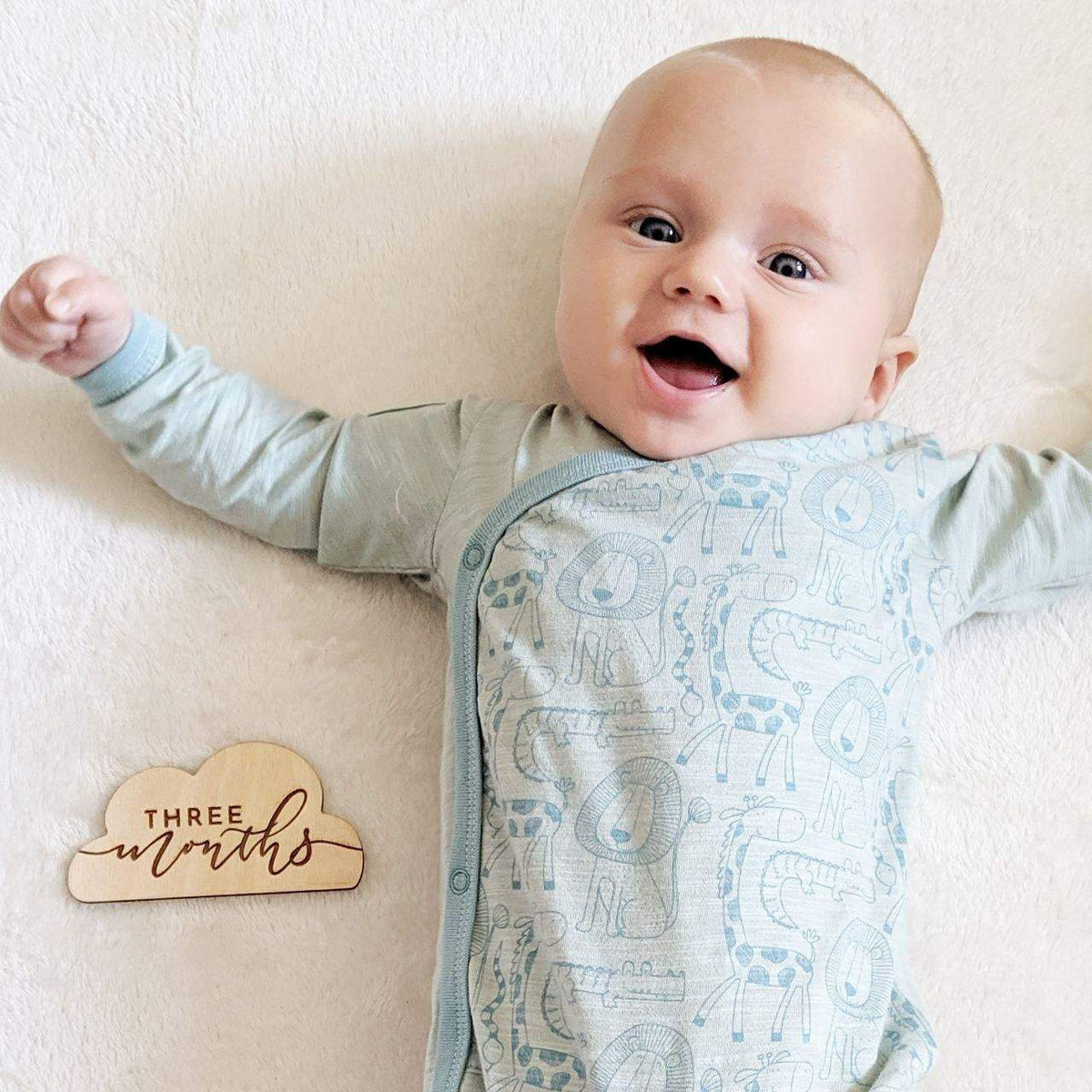 Baby cloud milestone monthly set – Birch and Tides