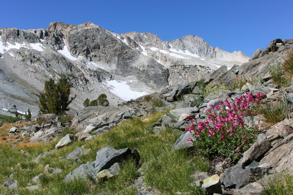 Twenty Lakes Loop, California. Photo by Lee Coren