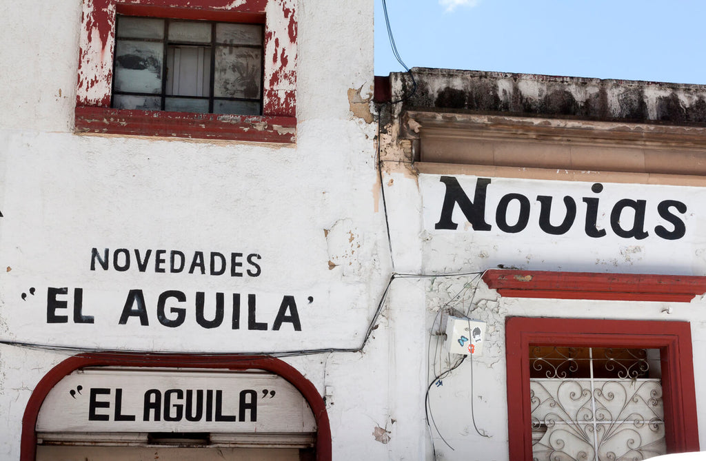 Oaxaca City, Mexico (Photo by Lee Coren)