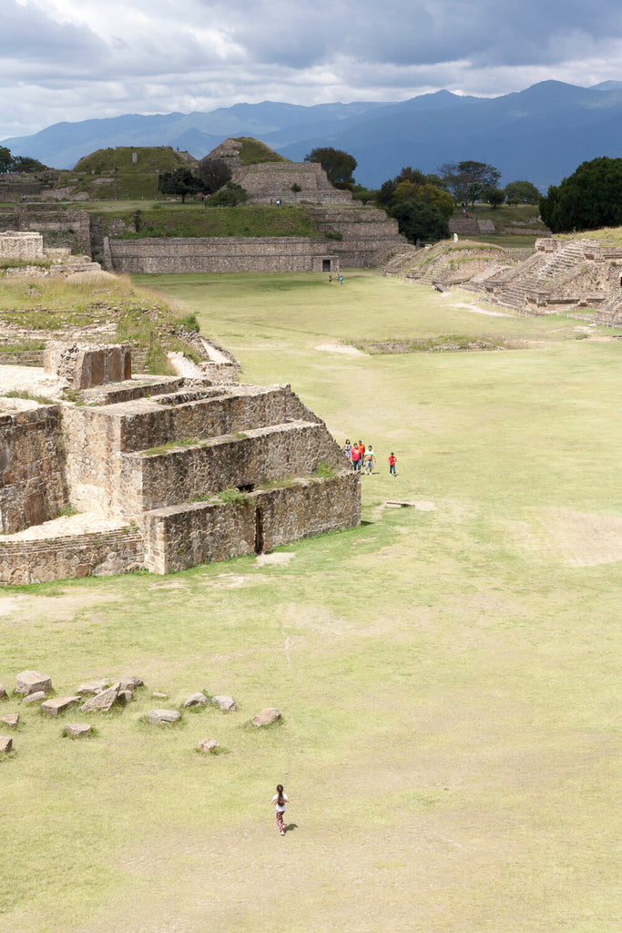 Monte Albán, Oaxaca, Mexico (Photo by Lee Coren)