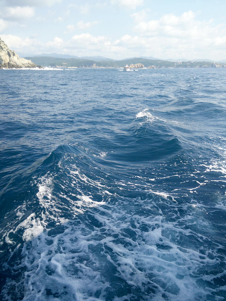 Huatulco, Oaxaca, Mexico (Photo By Lee Coren)