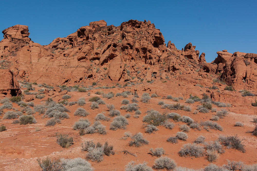 Lee Coren Valley Of Fire Nevada_002