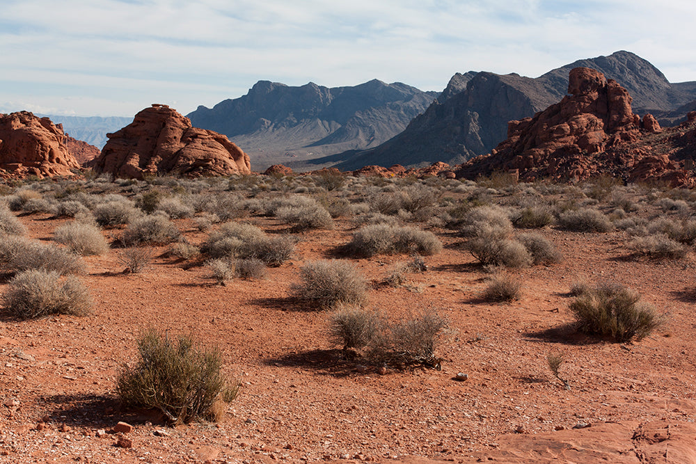 Lee Coren Valley Of Fire Nevada_005