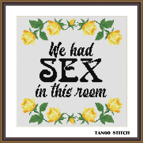 We Had Sex in This Room. Adult Starter Cross Stitch Kit for