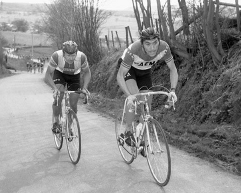 Eddy Merckx