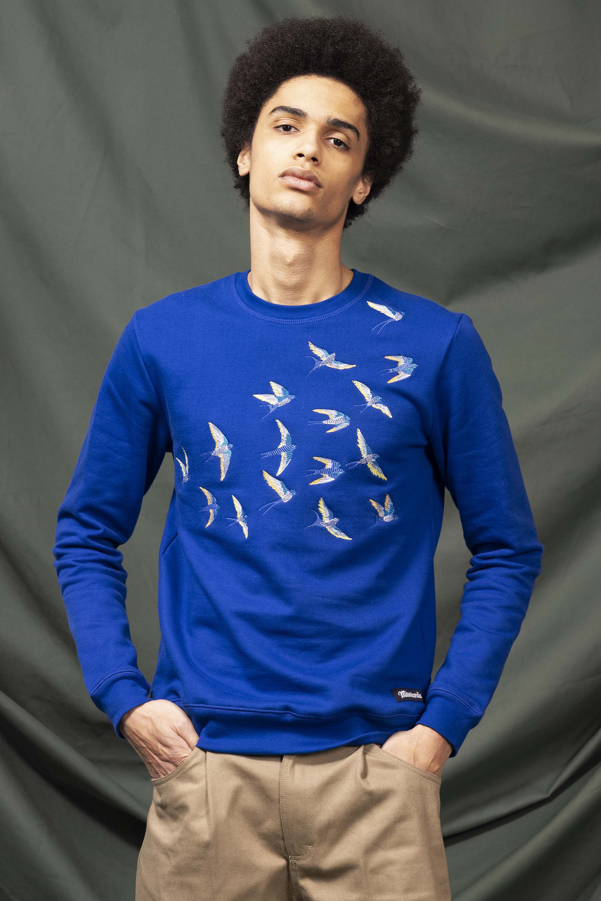 Sapphire blue cotton sweatshirt with bird embroidery, regular fit, normal fit