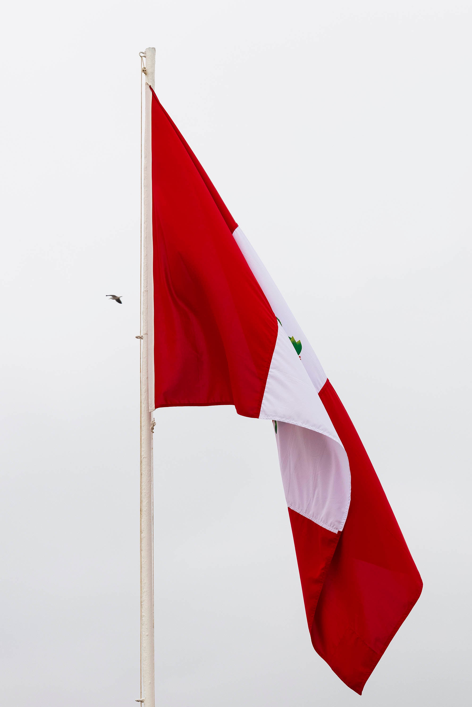 Drapeau du pérou photographié sous le vent sous un ciel gris