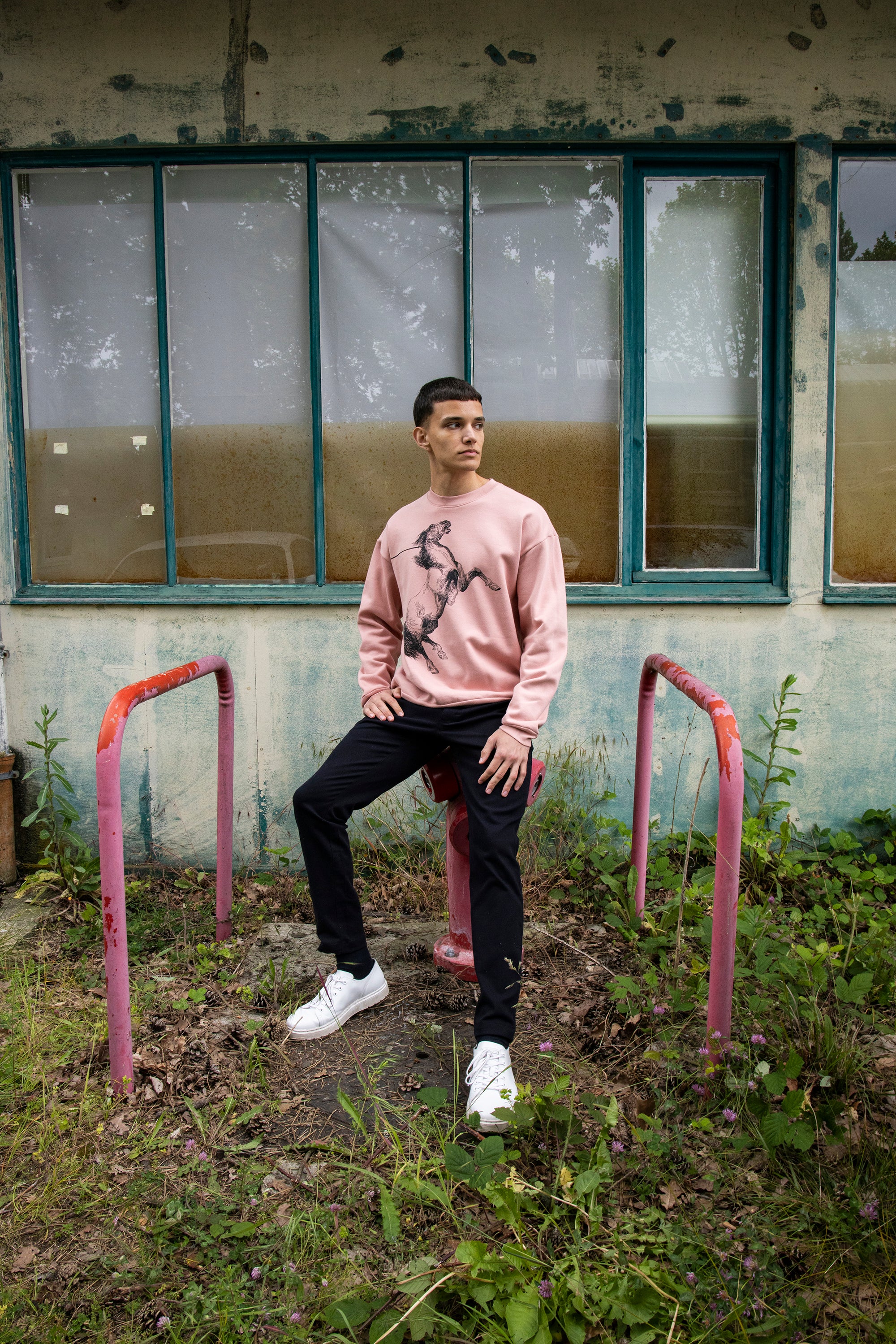 pink oversized sweatshirt printed in cotton with a prancing horse