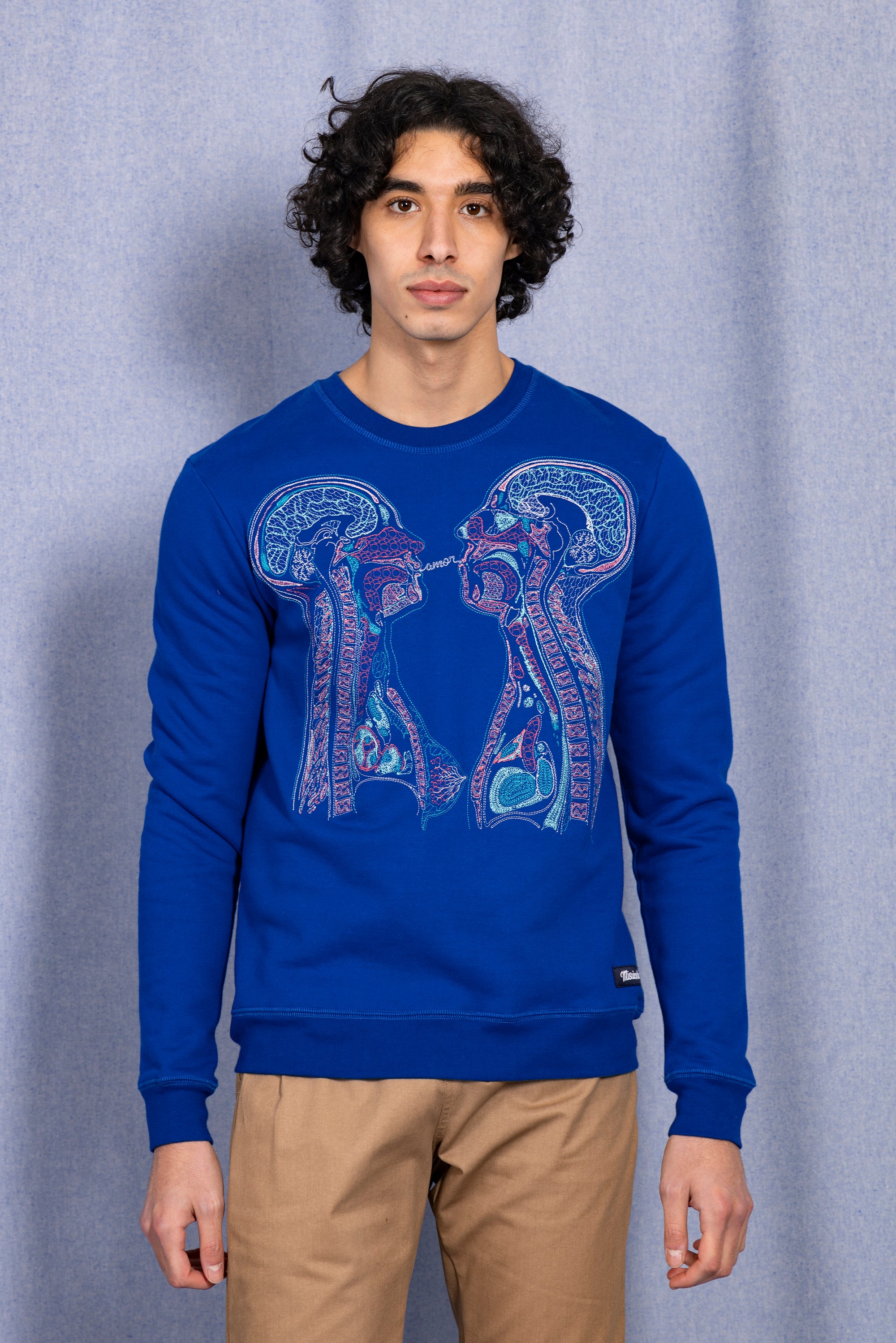 Sapphire blue sweater for men, ethical cotton, Peru embroidery