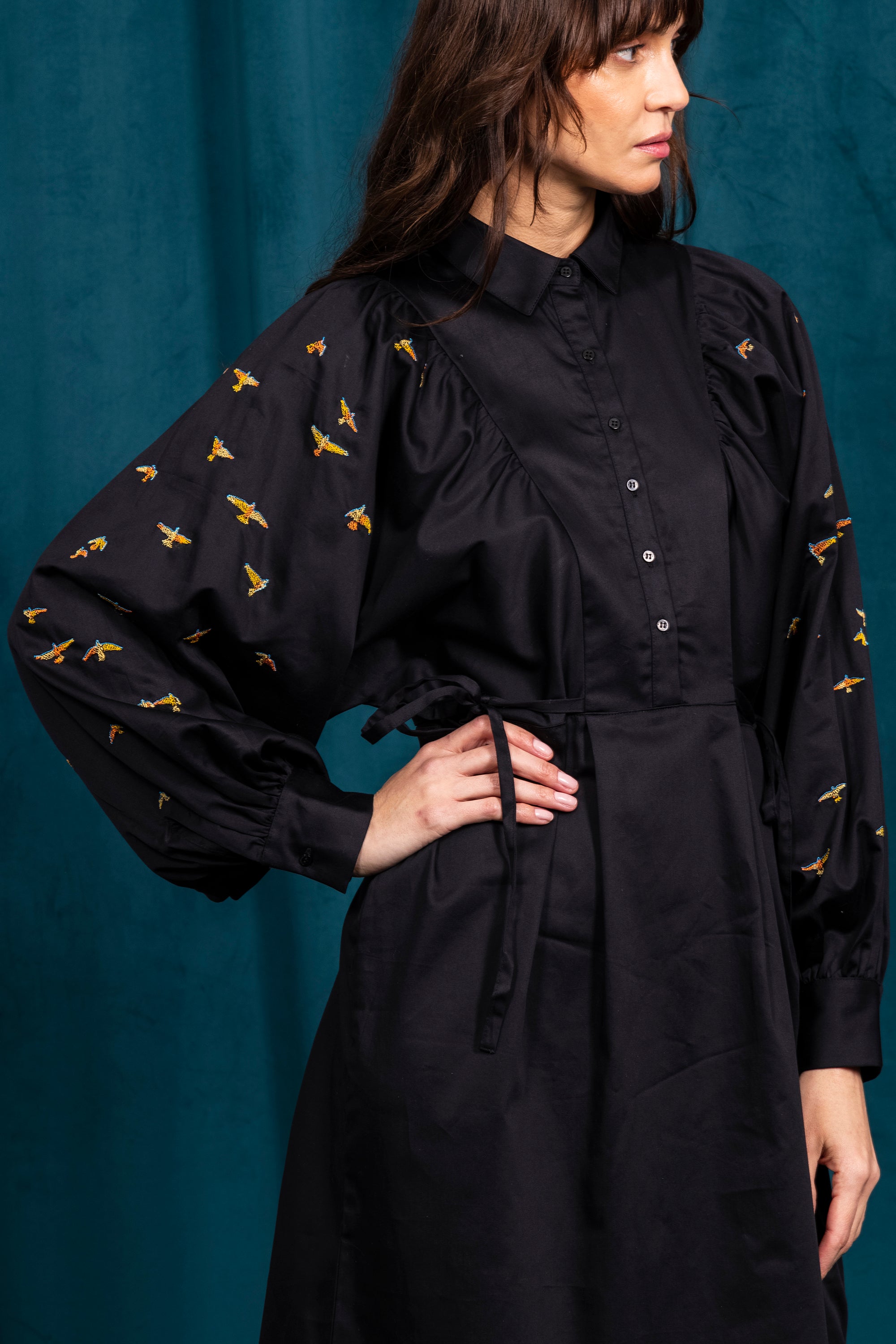 black dress with buttoned balloon sleeves and embroidered birds