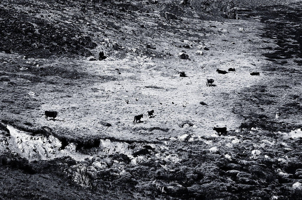 Paysage beauté du Pérou Misericordia 