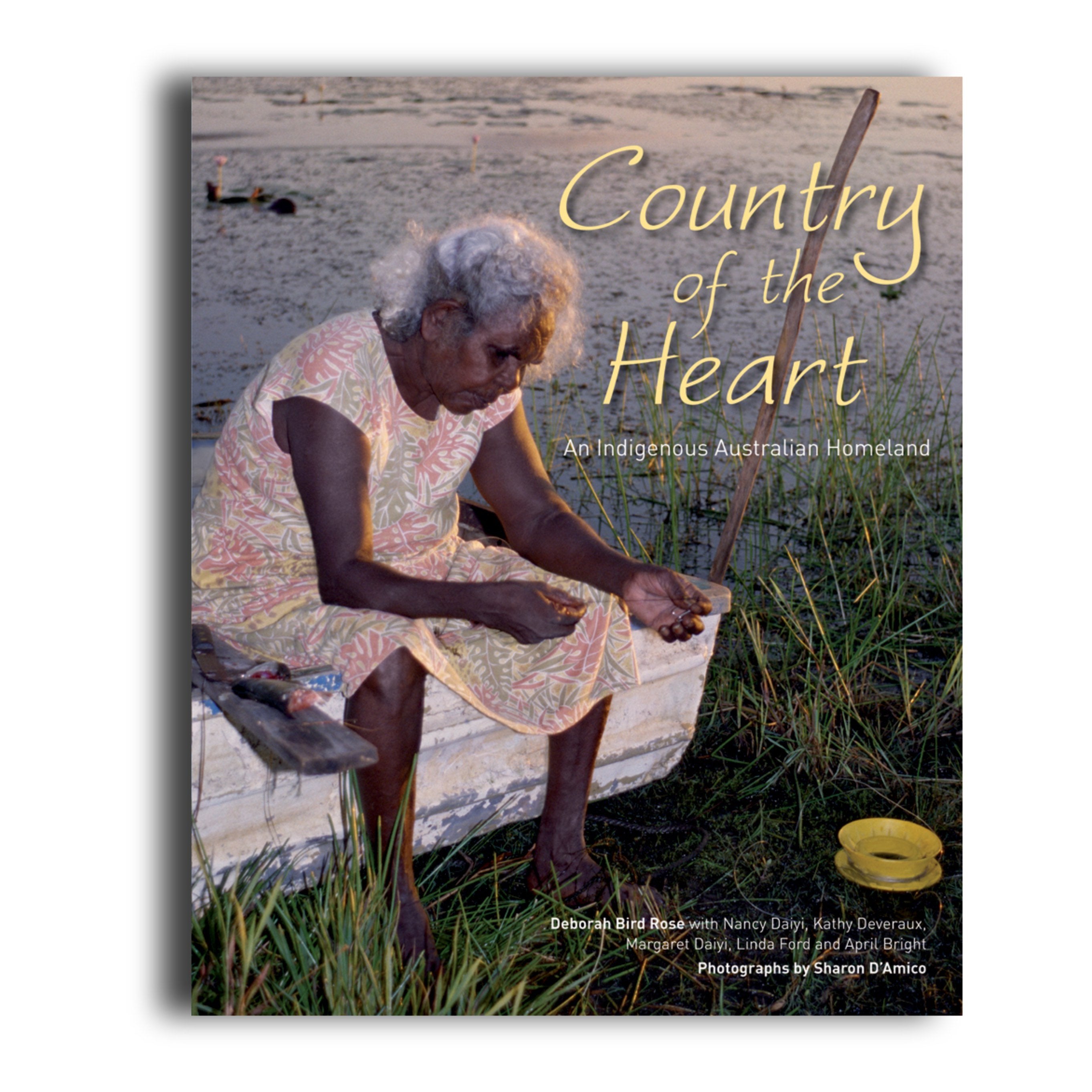 In the Country of Hearts by John Stone