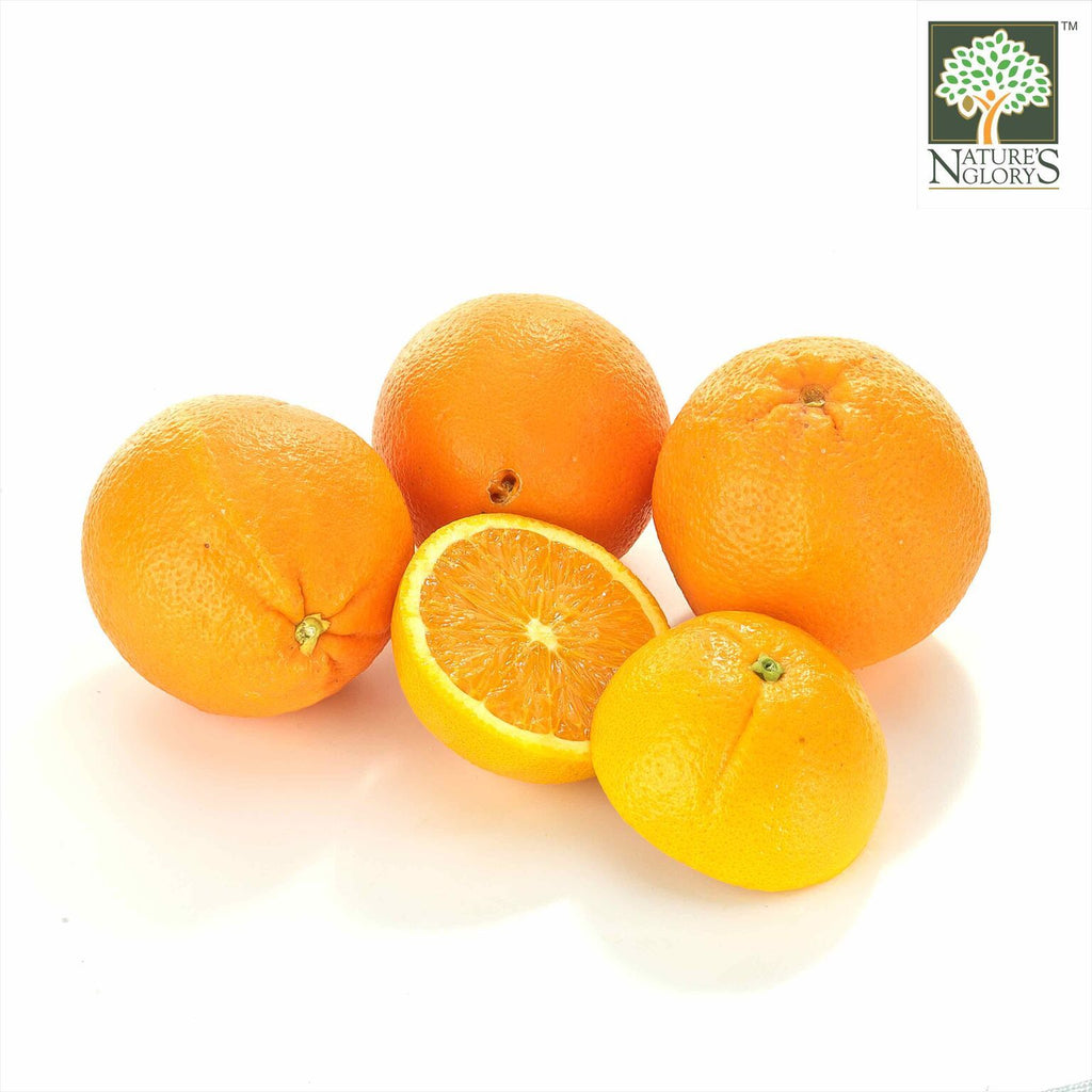 Orange (Navel) Australia Organic Fruit (NA 8131P) - Nature's Glory Singapore