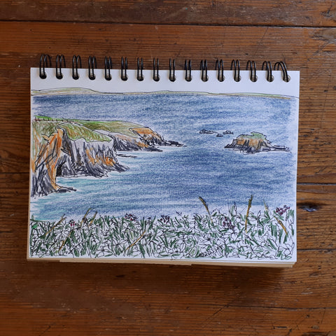 Headland sketches by Alice Draws the Line, near St David’s, Pembrokeshire