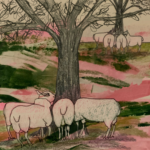 Sketchbook sheep by Alice Draws the line