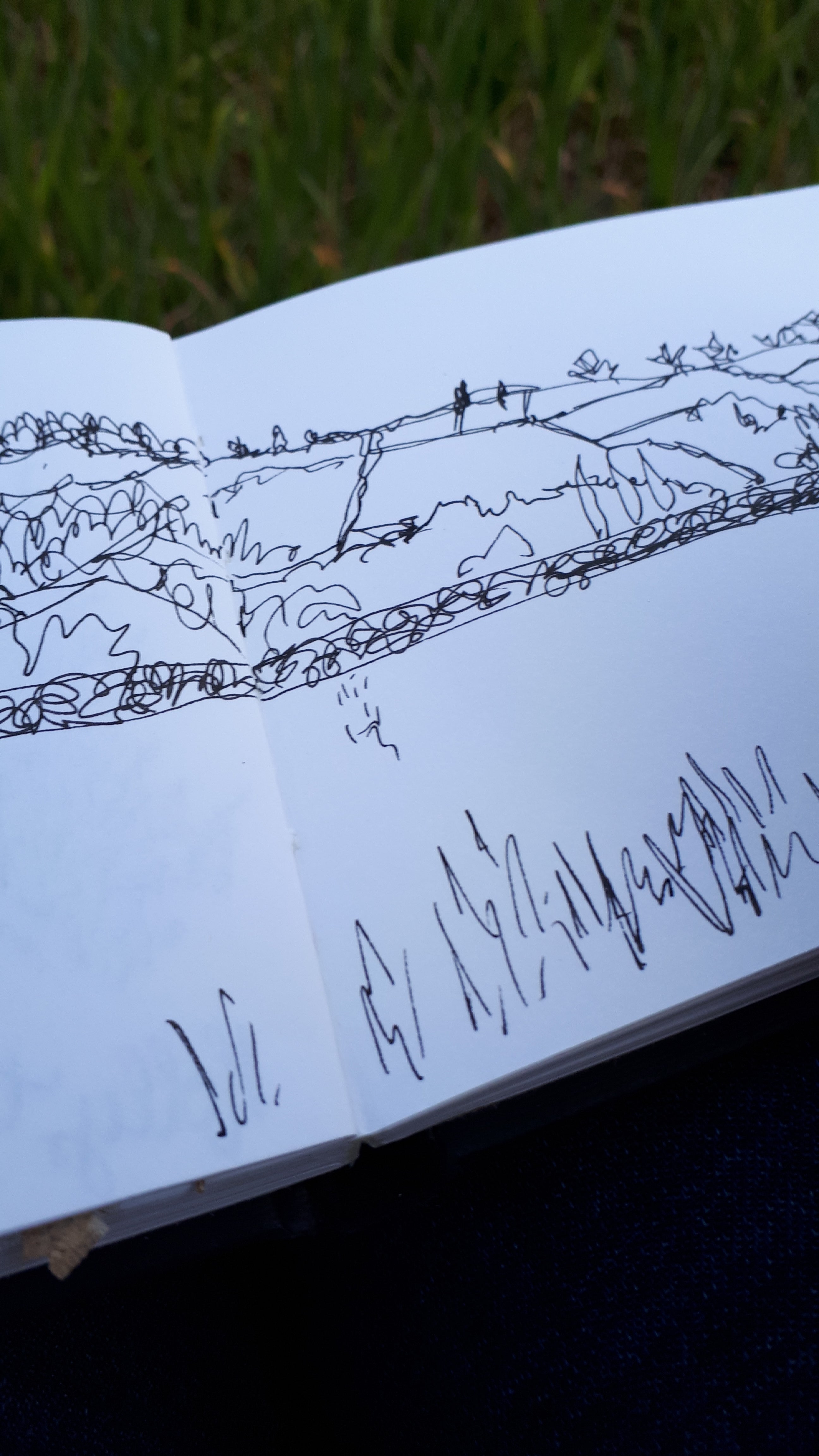 Field sketching by Alice Draws the Line, sketchbook study