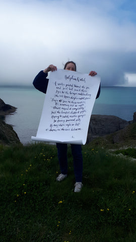 Dolphin Watch poem by Alice Savery of Alice Draws the Line