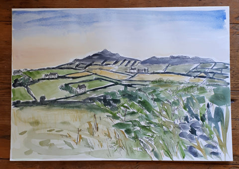 Watercolour study of the holiday cottage view towards St David’s in Pembrokeshire by Alice Draws the Line