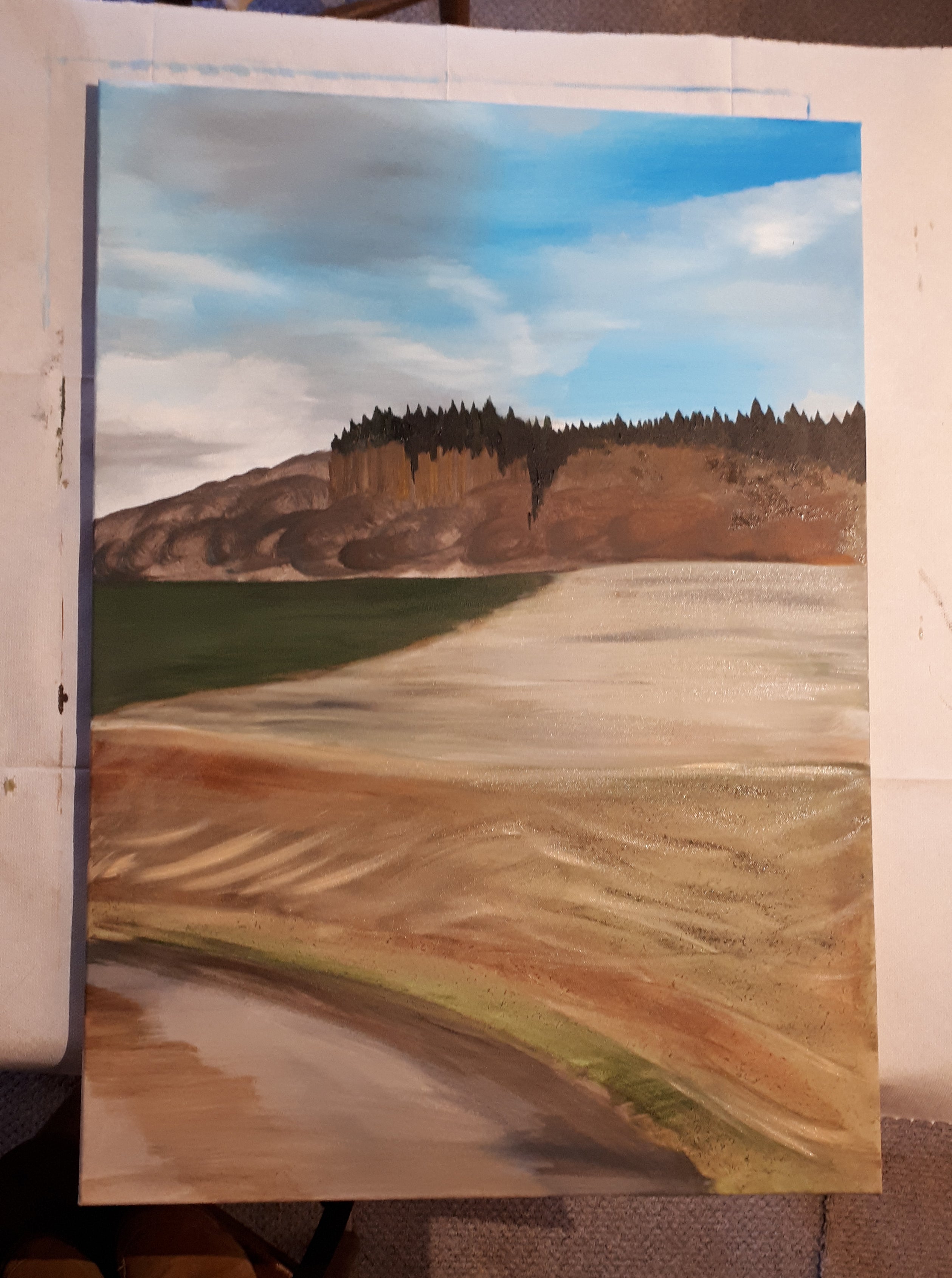 A1 landscape picture work in progress by Alice Draws the Line