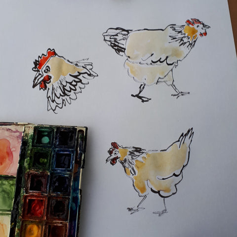 Chickens drawn using a homemade feather quill by Alice Draws the Line