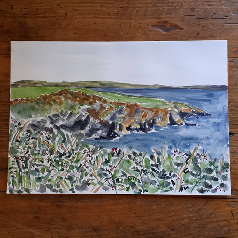 Sketching on the headland by Alice Draws the Line, near St David’s Pembrokeshire