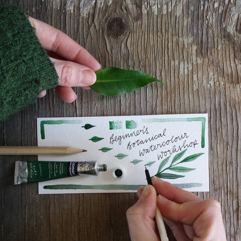 Beginner's Botanical Workshop with Alice Draws The Line